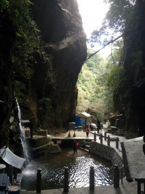 IMG_9357 (中).JPG