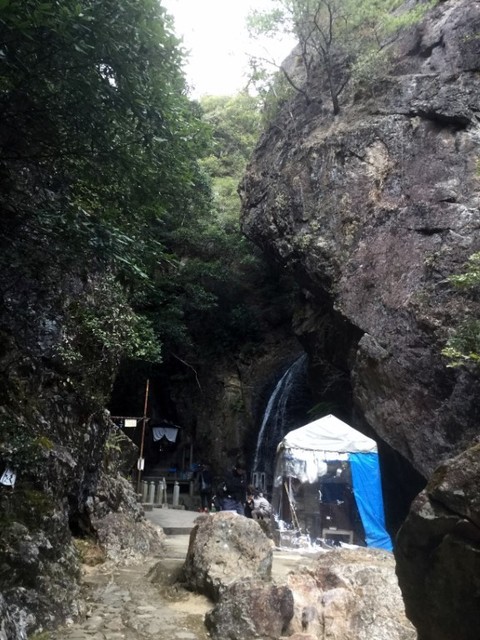 IMG_9361 (中).JPG